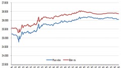 Easing pressure on the exchange rate