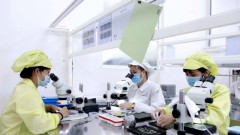 Vietnam Ahead of New Growth Phase: Perspectives from Partners and Enterprise