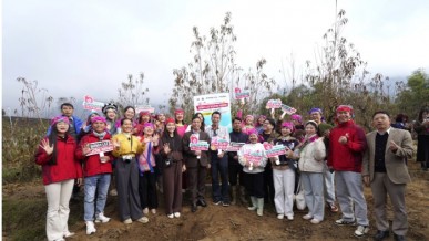 Vietnam pushes rural e-commerce expansion to narrow digital divide nationwide