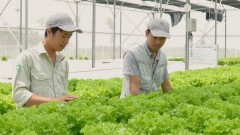 A transition from a social safety pillar to a launchpad for development