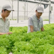 A transition from a social safety pillar to a launchpad for development