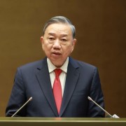 Party leader stresses new mindset in implementing Resolution of 14th National Party Congress