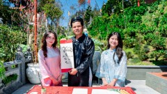 Da Nang spring travel guide 2026: When Tet begins on “flower paths in the clouds” 