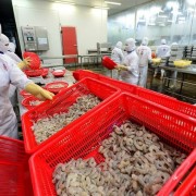 Tapping into vast potential of Halal economy