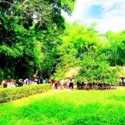 Journey back to the roots and aspiration to rise