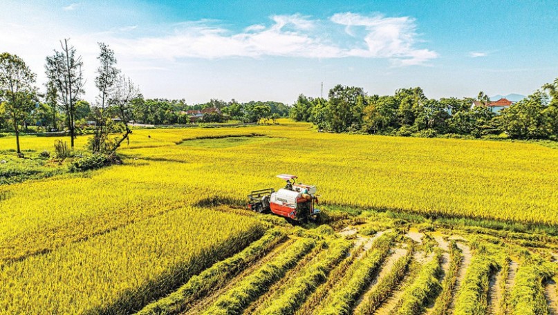 Vietnamese agriculture after 40 years of Doi Moi: From food shortages to a pillar of the economy