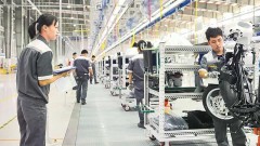 Reform pressure created to help enterprises grow