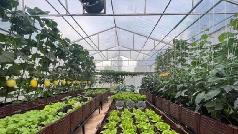 Agriculture and Environment Sector: Laying Foundation for Sustainable Development