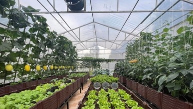 Agriculture and Environment Sector: Laying Foundation for Sustainable Development