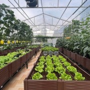 Agriculture and Environment Sector: Laying Foundation for Sustainable Development