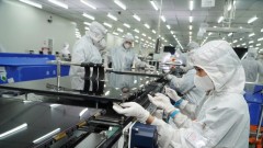 Proactive strategy needed as global tariffs rise