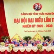 Building strong Party from&nbsp;grassroots Party cells