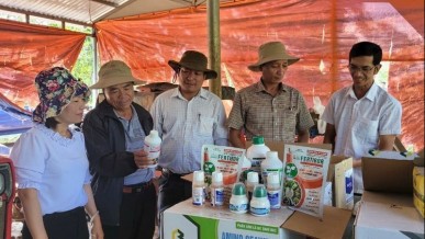 Transitioning towards green and responsible agriculture