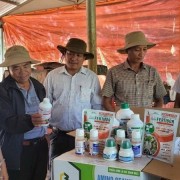 Transitioning towards green and responsible agriculture