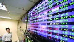 FTSE Russell enters review phase: Vietcap bets 100% on Vietnam