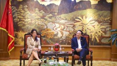 VCCI and PwC promote cooperation to support sustainable business development in 2026
