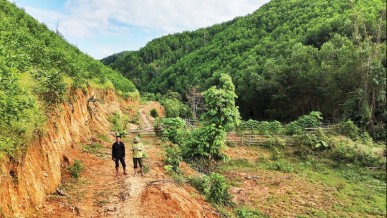 Legal framework for a domestic carbon exchange