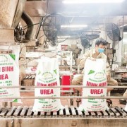 Green transformation of the chemical industry