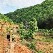 Legal framework for a domestic carbon exchange