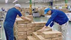 Labour market stable after Tet holiday: A shift in workers’ mindset