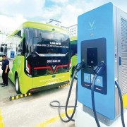 Economic growth closely linked with environmental responsibility