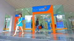 Momentum for&nbsp;VIB