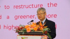 Vietnam’s wood industry continues to face multiple challenges