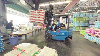 Population and employment remain stable in 2025, creating momentum for 2026