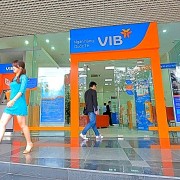 Momentum for&nbsp;VIB