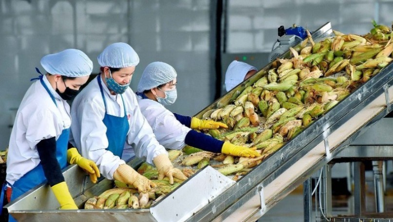 Proactive scenarios help respond to agricultural export risks