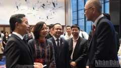 Da Nang creates favourable conditions to attract Japanese businesses