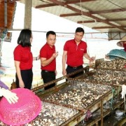 Maintaining flow of people’s credit funds for collective economy