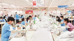 Garment sector gains momentum amid global uncertainty