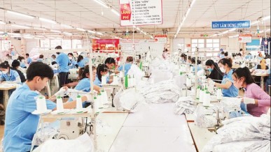 Garment sector gains momentum amid global uncertainty