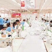 Garment sector gains momentum amid global uncertainty
