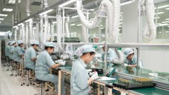 Improving Institutions to Advance Vietnam’s Value Chains