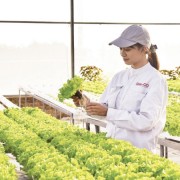 Data transparency serves as foundation for green start-up development