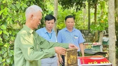 Viet Nam’s silver economy development: Turning ageing challenge into a driver of growth