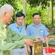 Viet Nam’s silver economy development: Turning ageing challenge into a driver of growth