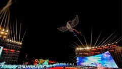 Quang Tri: Sacred land where the flowers of peace bloom