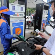 A policy lever for&nbsp;biofuel adoption in Vietnam