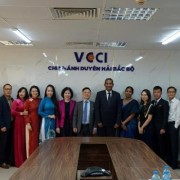Promoting Vietnam – Sri Lanka Business Cooperation
