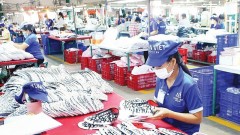 Dong Nai promotes private sector development