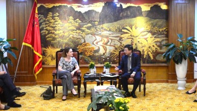 Elevating Viet Nam–New Zealand Business Cooperation