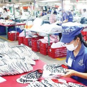 Dong Nai promotes private sector development