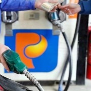 Cutting environmental protection tax on petroleum: An urgent fiscal measure to cool domestic prices