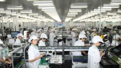 Diversifying Export Markets for&nbsp;Stronger Resilience