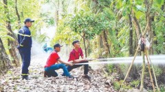 The “shield” protecting U Minh Ha forest