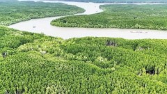 Mobilising resources to participate in carbon credit market