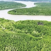 Mobilising resources to participate in carbon credit market